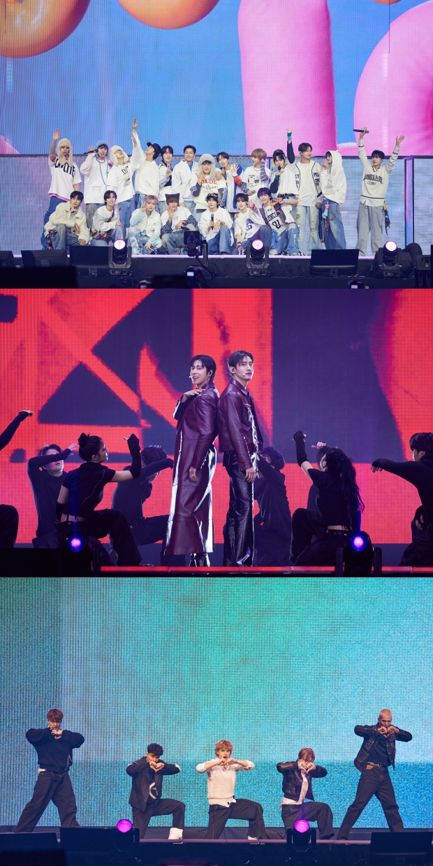 ƼºêÀ̵¥Àϸ® Æ÷Åä