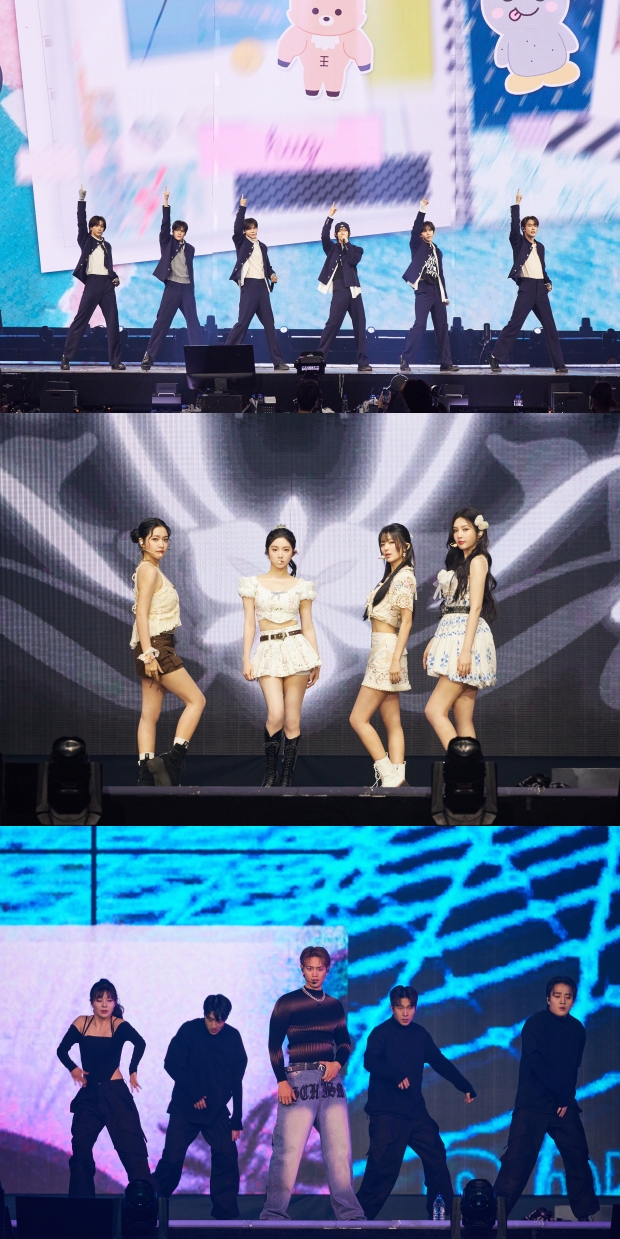 ƼºêÀ̵¥Àϸ® Æ÷Åä