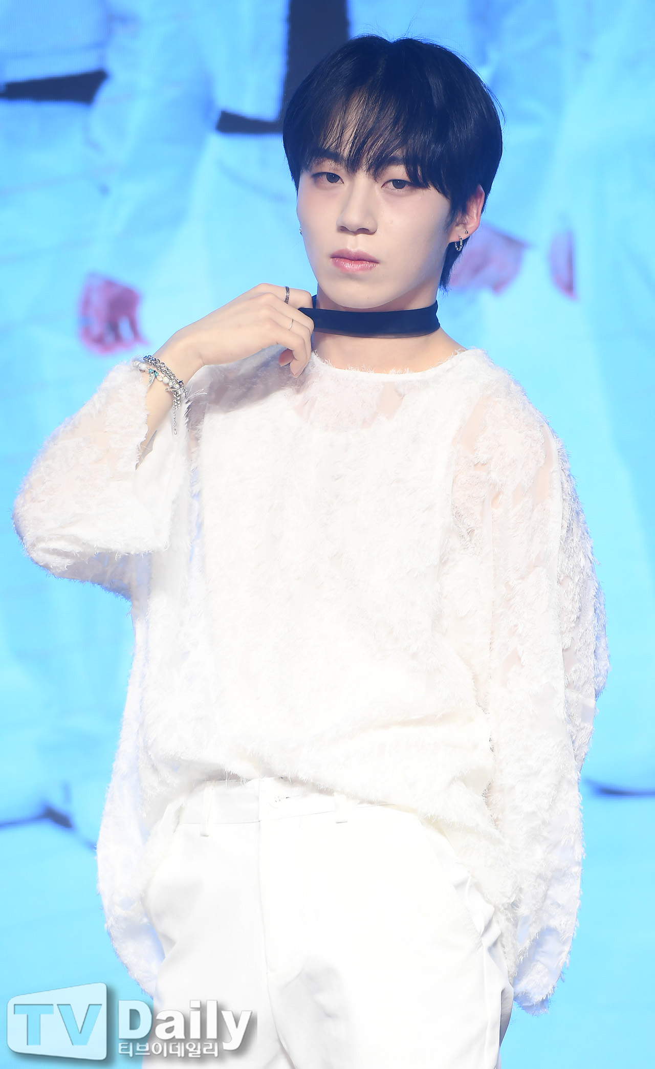 ƼºêÀ̵¥Àϸ® Æ÷Åä