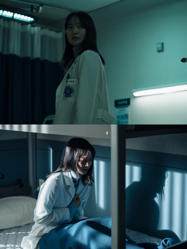 ƼºêÀ̵¥Àϸ® Æ÷Åä