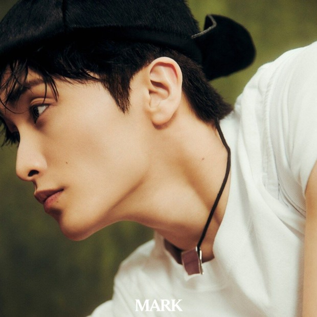 ƼºêÀ̵¥Àϸ® Æ÷Åä