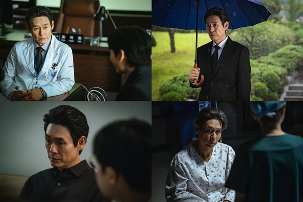 ƼºêÀ̵¥Àϸ® Æ÷Åä