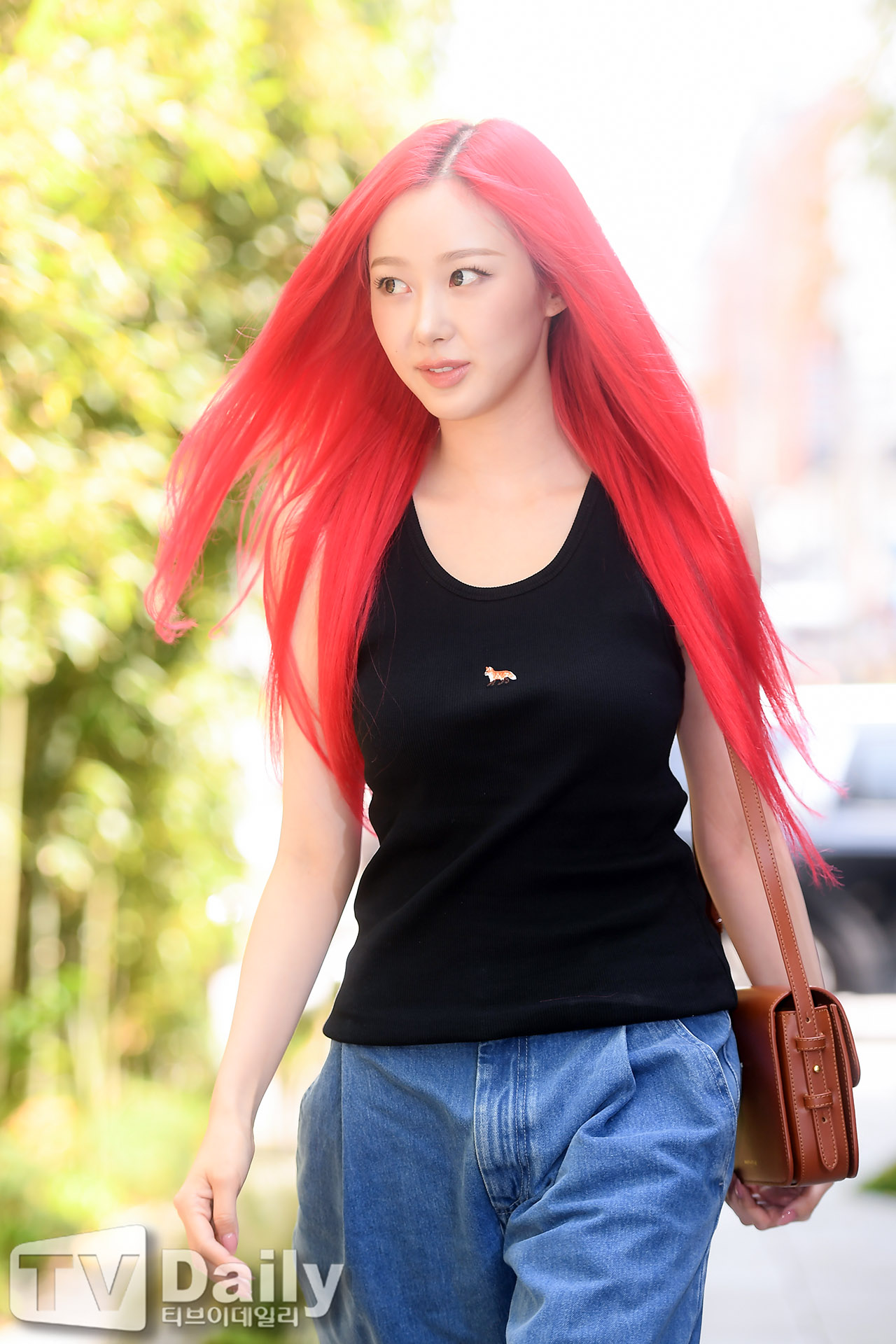 ƼºêÀ̵¥Àϸ® Æ÷Åä