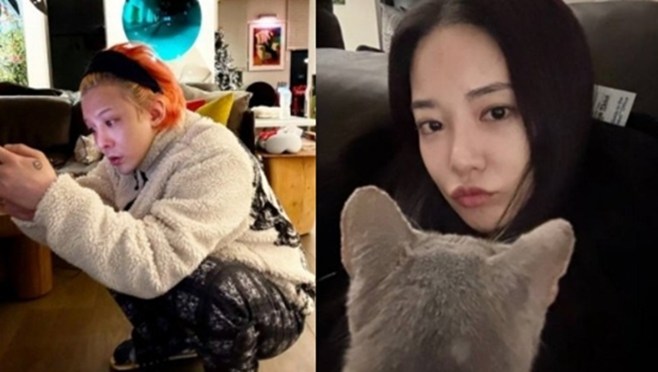 ƼºêÀ̵¥Àϸ® Æ÷Åä