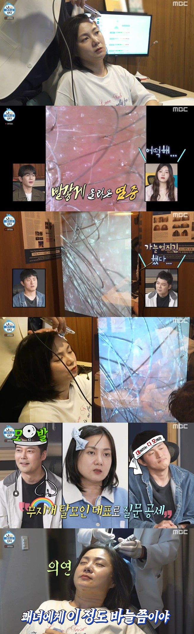 ƼºêÀ̵¥Àϸ® Æ÷Åä