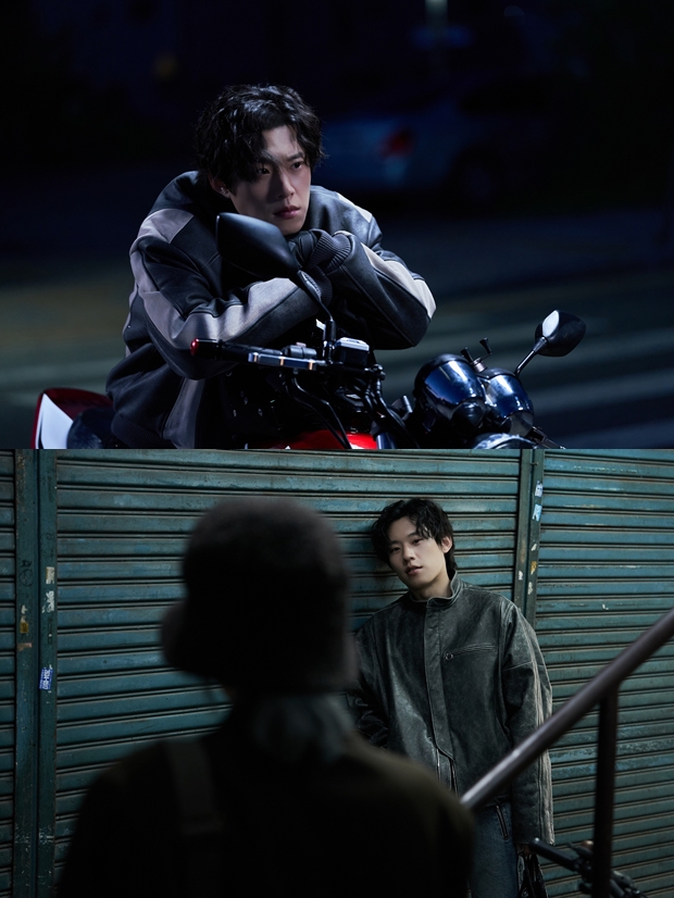 ƼºêÀ̵¥Àϸ® Æ÷Åä