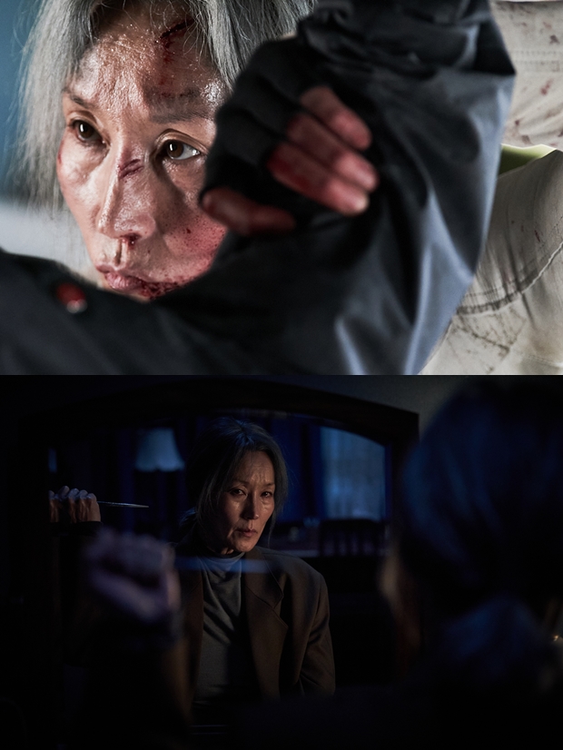 Ƽ���̵��ϸ� ����