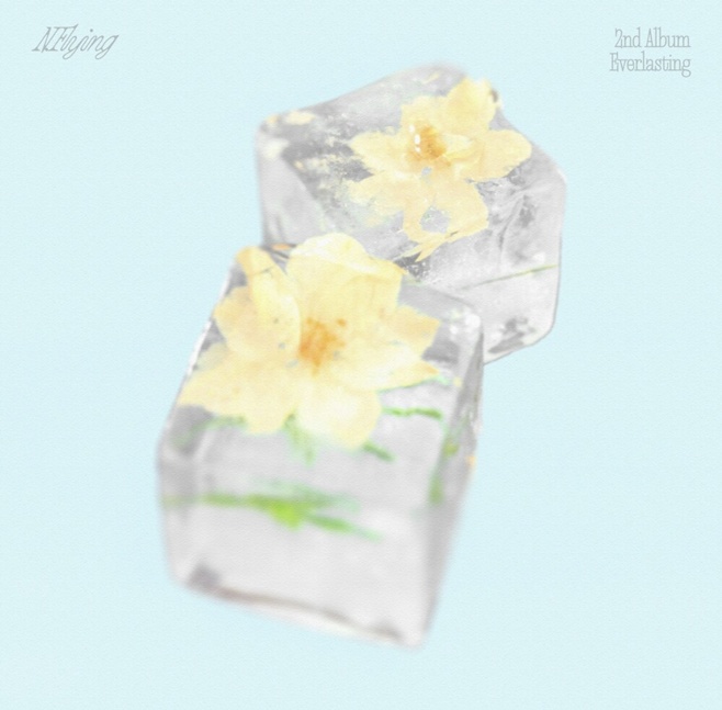 ƼºêÀ̵¥Àϸ® Æ÷Åä