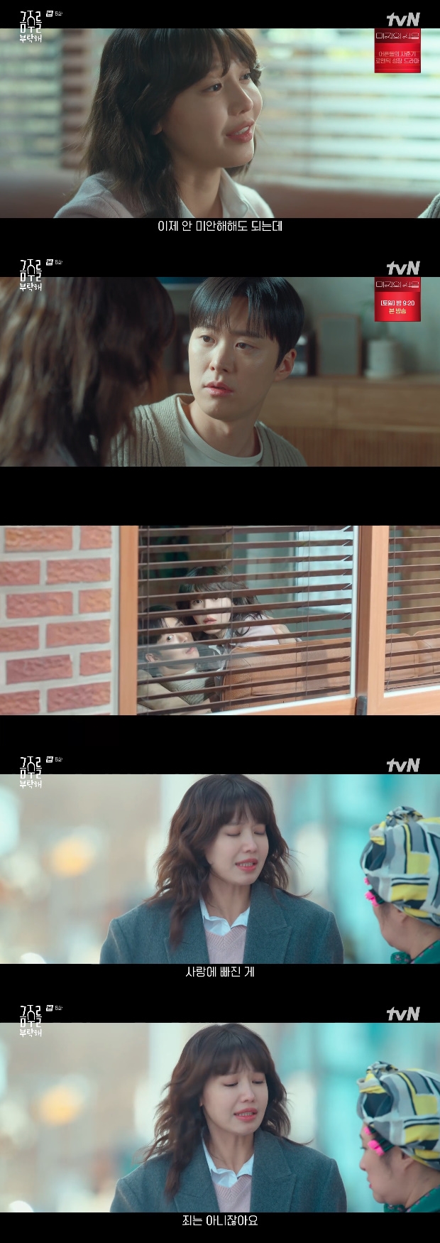 ƼºêÀ̵¥Àϸ® Æ÷Åä