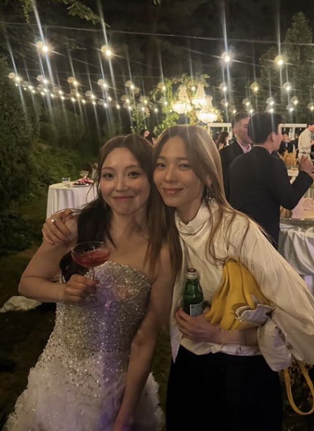 ƼºêÀ̵¥Àϸ® Æ÷Åä