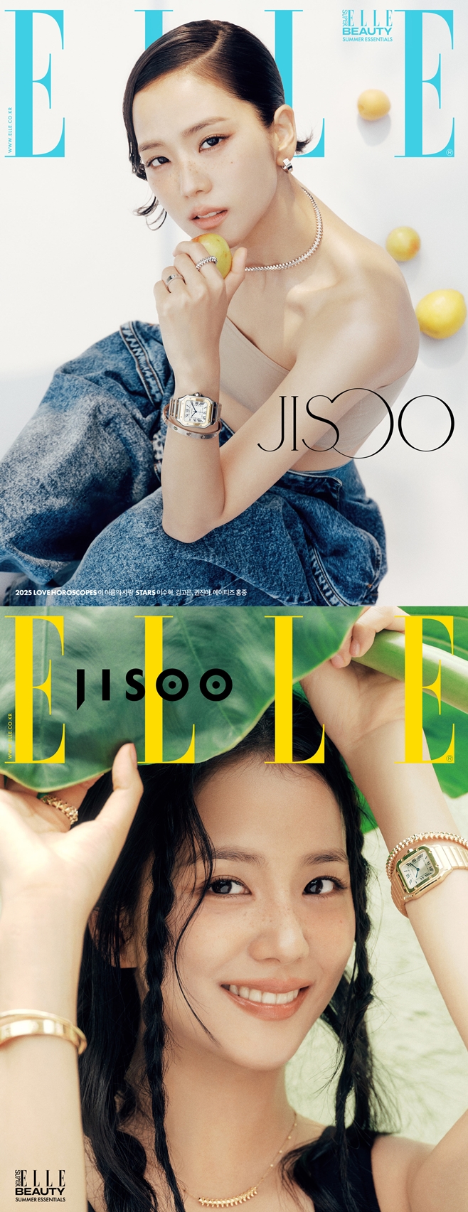 ƼºêÀ̵¥Àϸ® Æ÷Åä