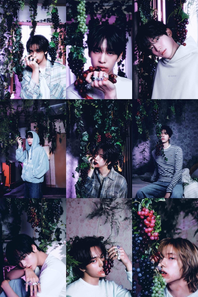 ƼºêÀ̵¥Àϸ® Æ÷Åä