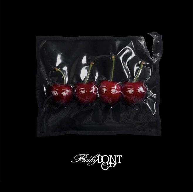 ƼºêÀ̵¥Àϸ® Æ÷Åä