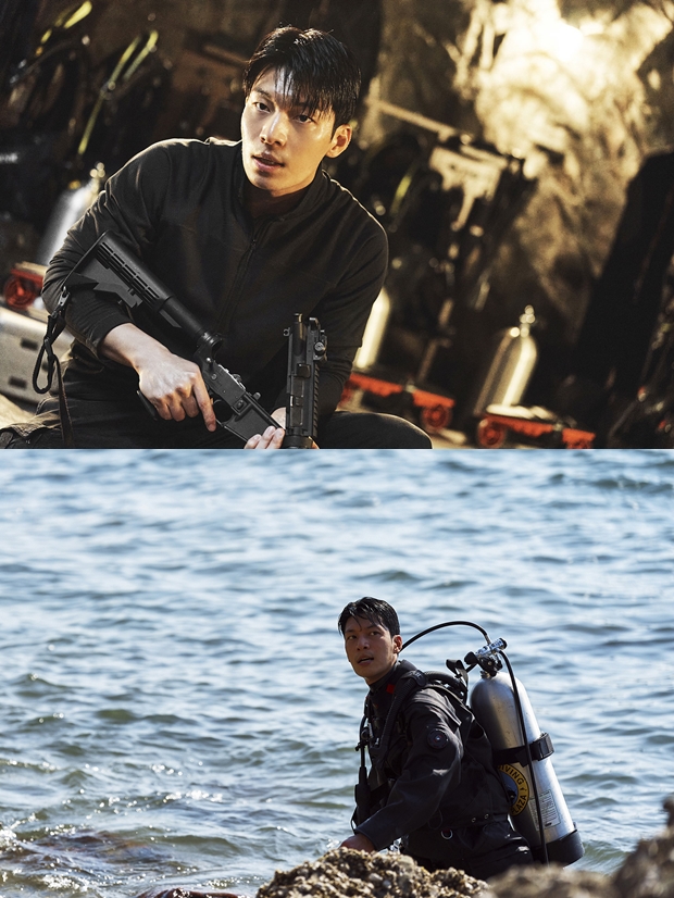 ƼºêÀ̵¥Àϸ® Æ÷Åä