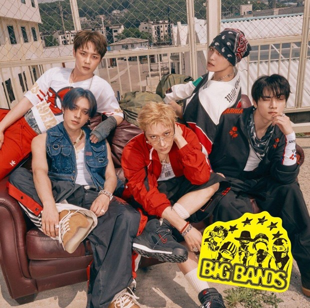 ƼºêÀ̵¥Àϸ® Æ÷Åä