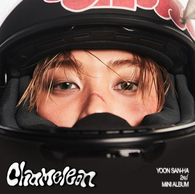 ƼºêÀ̵¥Àϸ® Æ÷Åä