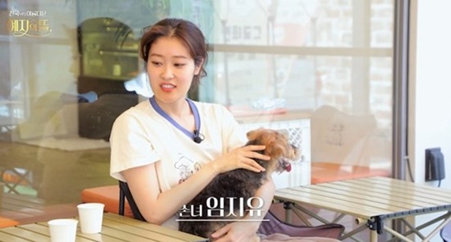 ƼºêÀ̵¥Àϸ® Æ÷Åä