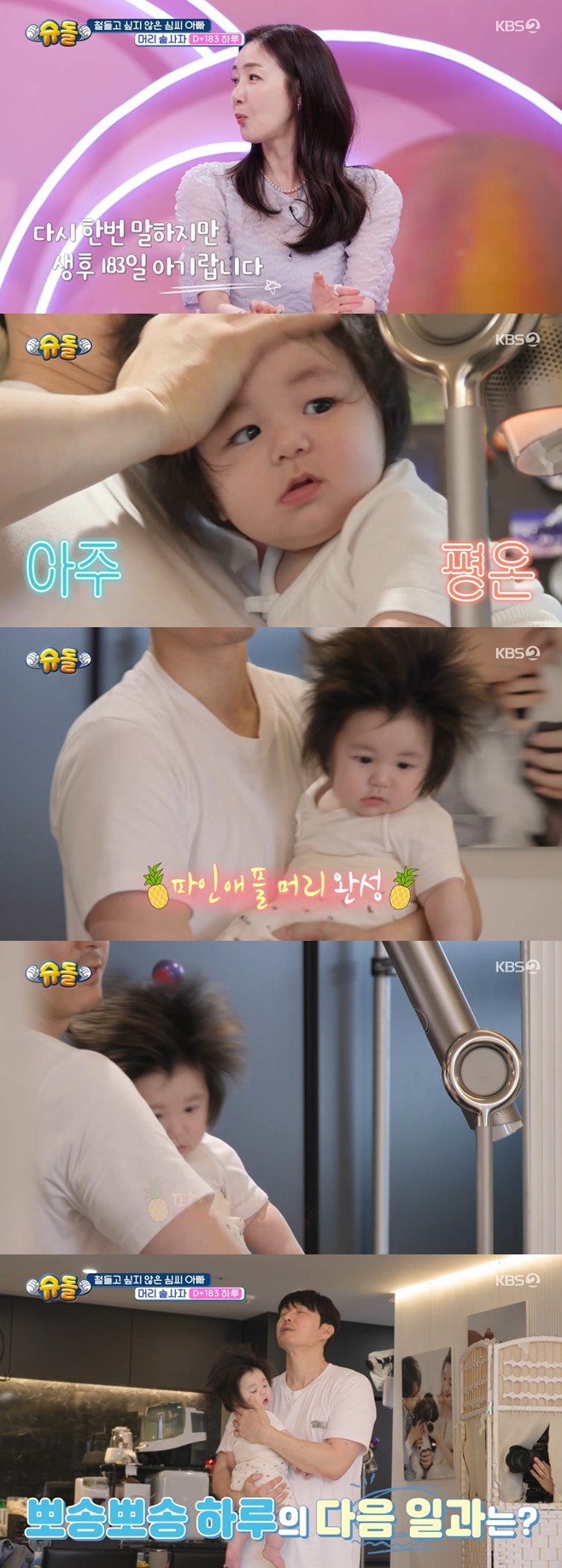 ƼºêÀ̵¥Àϸ® Æ÷Åä