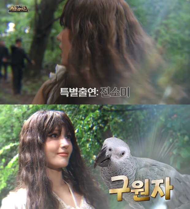 ƼºêÀ̵¥Àϸ® Æ÷Åä