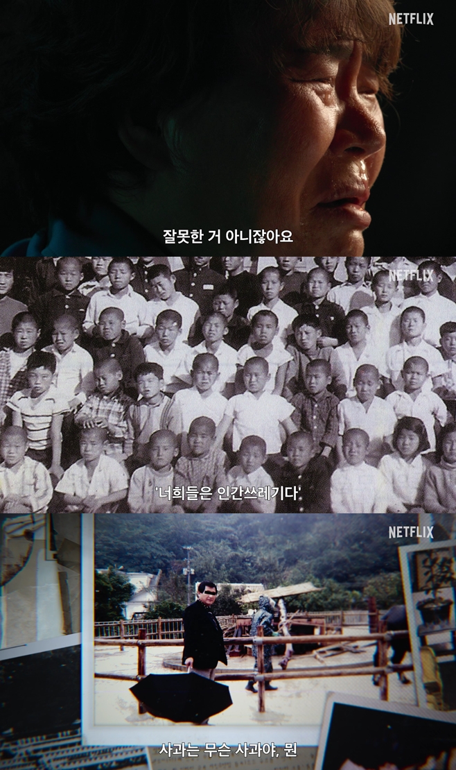 ƼºêÀ̵¥Àϸ® Æ÷Åä