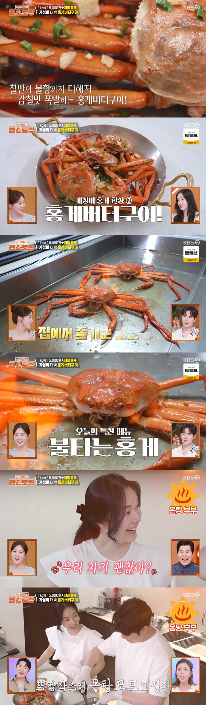 ƼºêÀ̵¥Àϸ® Æ÷Åä