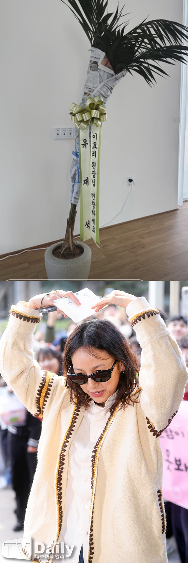 ƼºêÀ̵¥Àϸ® Æ÷Åä