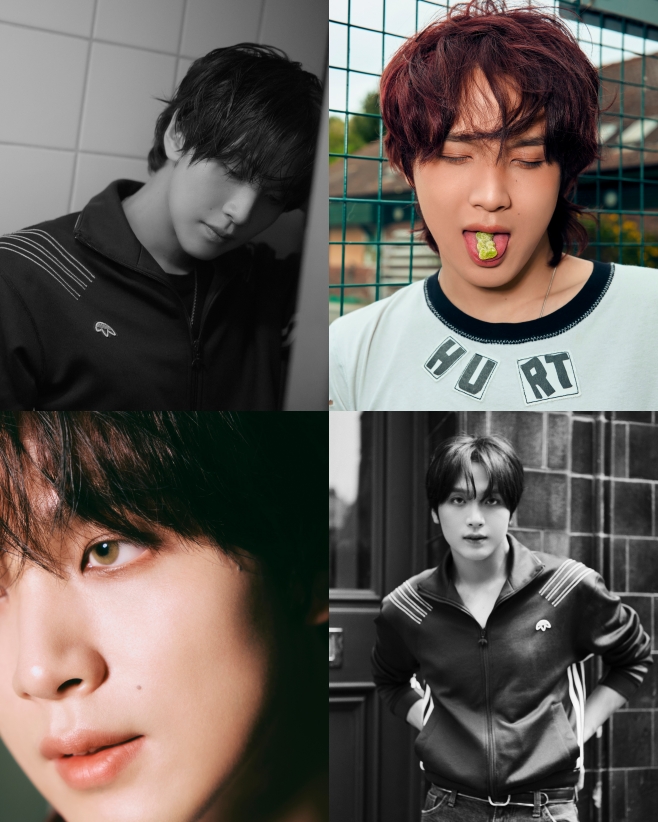 ƼºêÀ̵¥Àϸ® Æ÷Åä