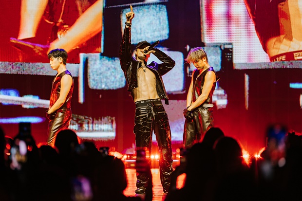 ƼºêÀ̵¥Àϸ® Æ÷Åä