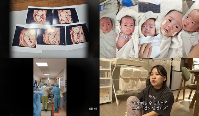 ƼºêÀ̵¥Àϸ® Æ÷Åä