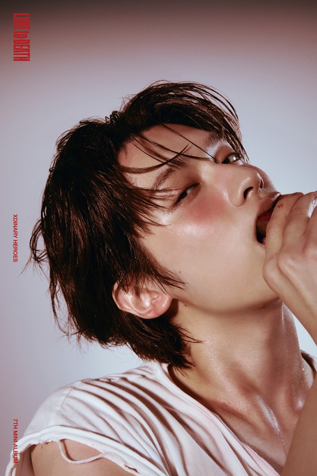 ƼºêÀ̵¥Àϸ® Æ÷Åä