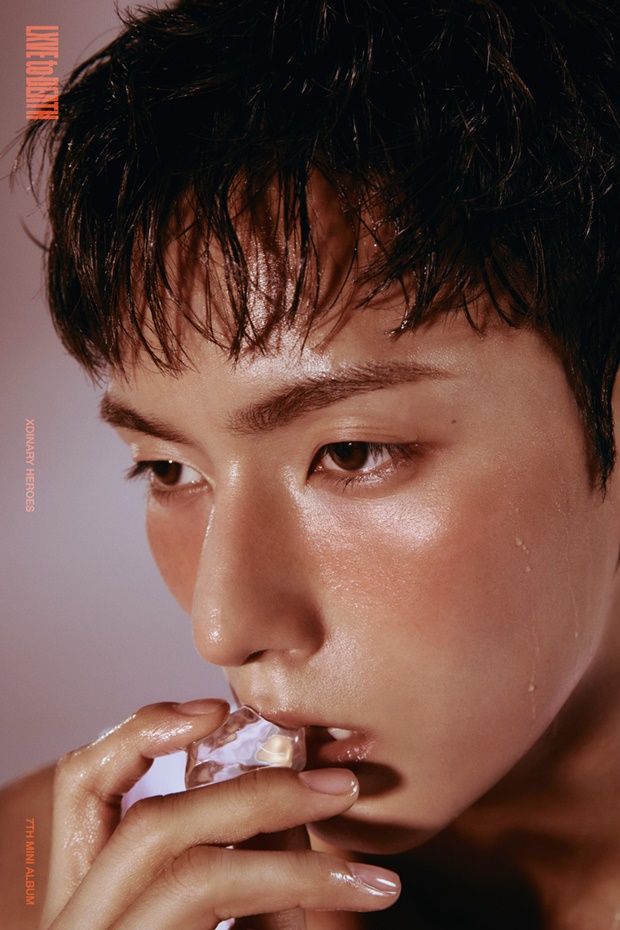 ƼºêÀ̵¥Àϸ® Æ÷Åä