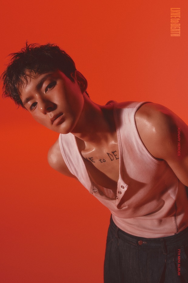 ƼºêÀ̵¥Àϸ® Æ÷Åä