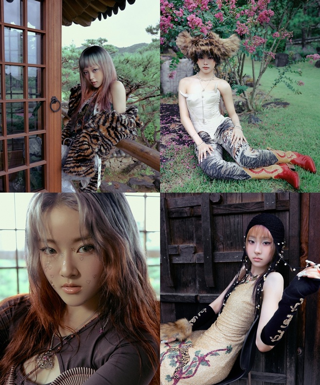 ƼºêÀ̵¥Àϸ® Æ÷Åä