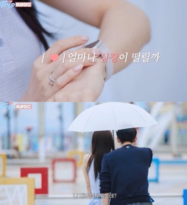 ƼºêÀ̵¥Àϸ® Æ÷Åä