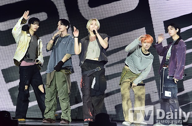 ƼºêÀ̵¥Àϸ® Æ÷Åä