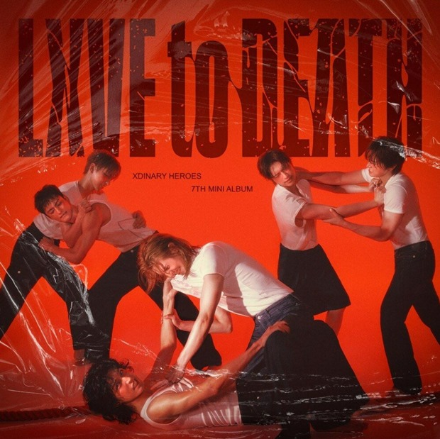 ƼºêÀ̵¥Àϸ® Æ÷Åä