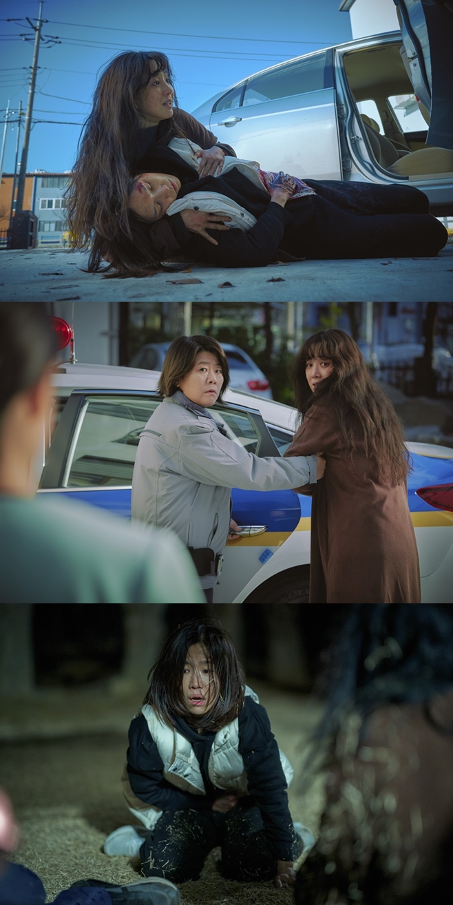 Ƽ���̵��ϸ� ����