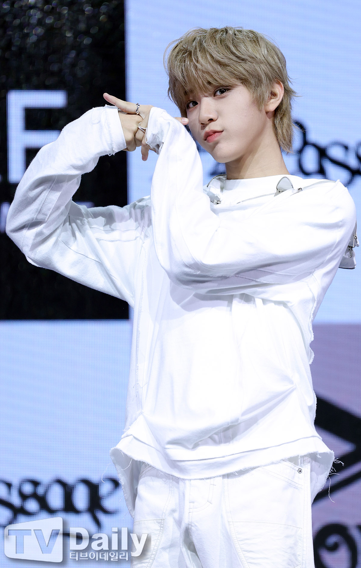 ƼºêÀ̵¥Àϸ® Æ÷Åä