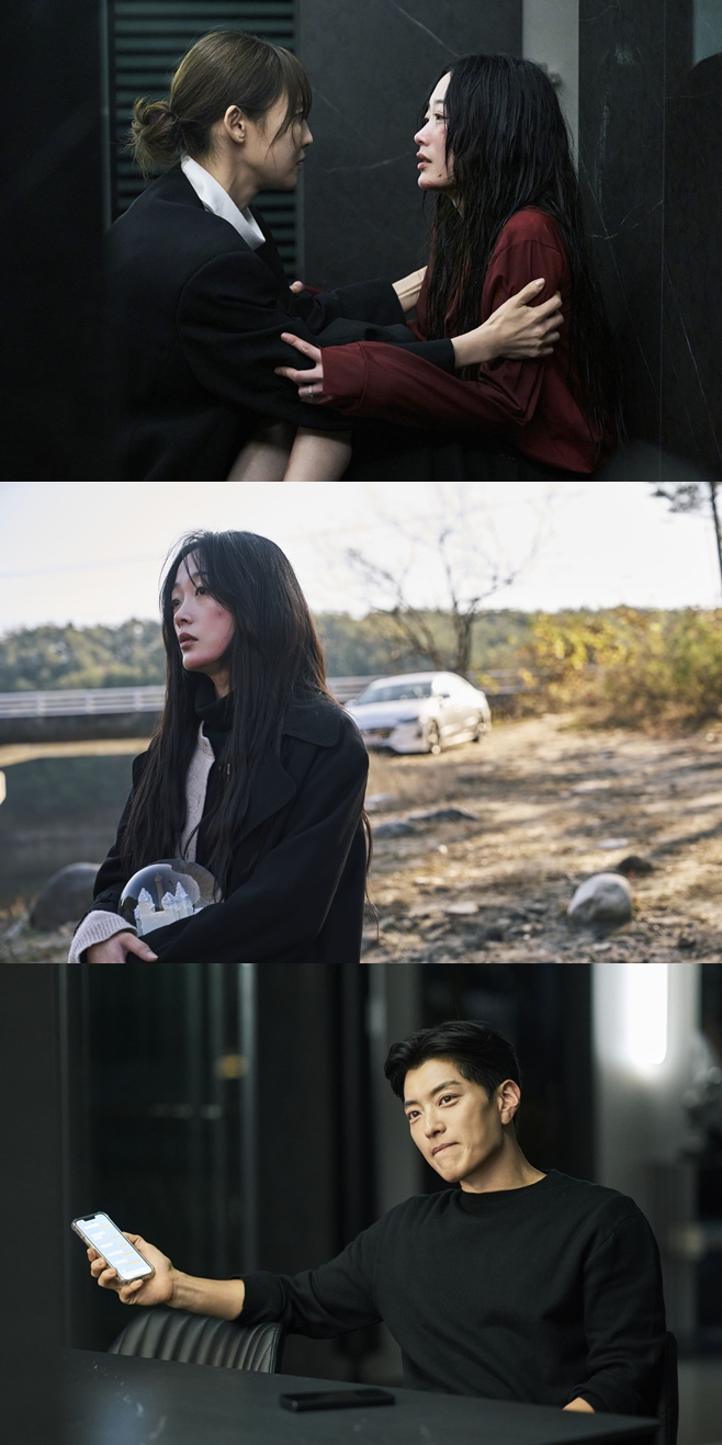 ƼºêÀ̵¥Àϸ® Æ÷Åä