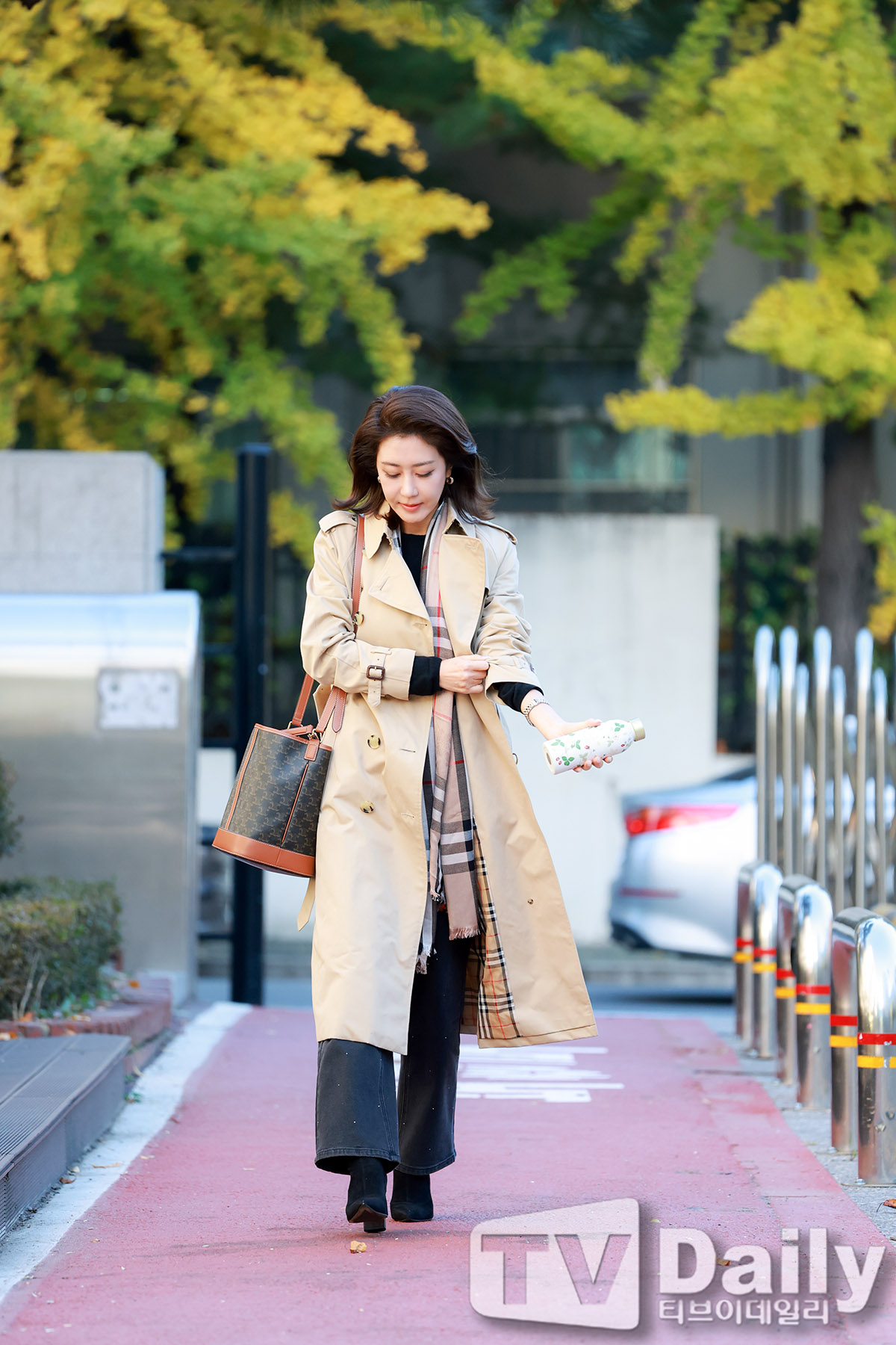 ƼºêÀ̵¥Àϸ® Æ÷Åä