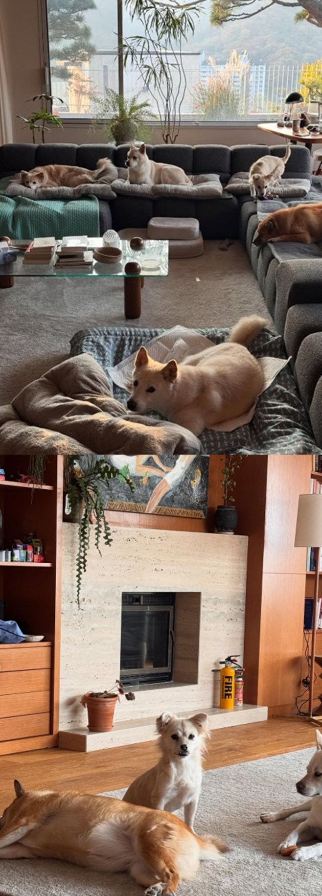 Ƽ���̵��ϸ� ����