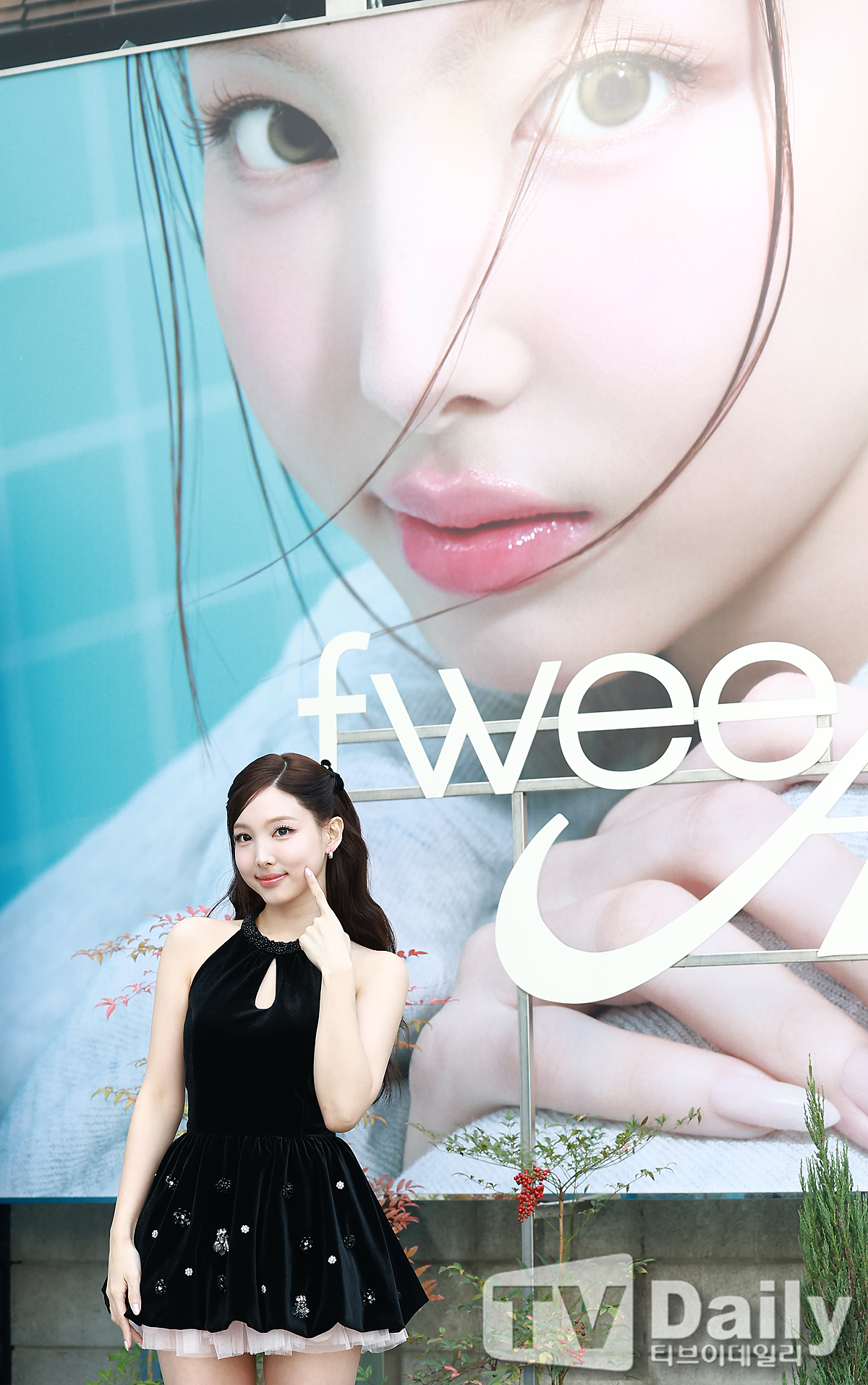 ƼºêÀ̵¥Àϸ® Æ÷Åä