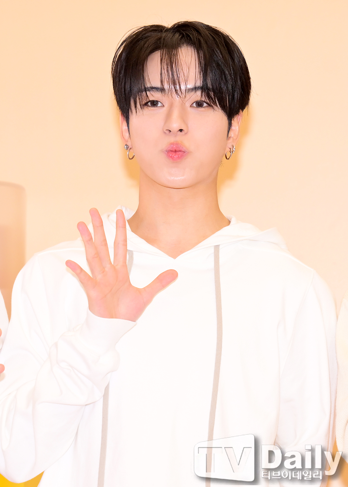 ƼºêÀ̵¥Àϸ® Æ÷Åä