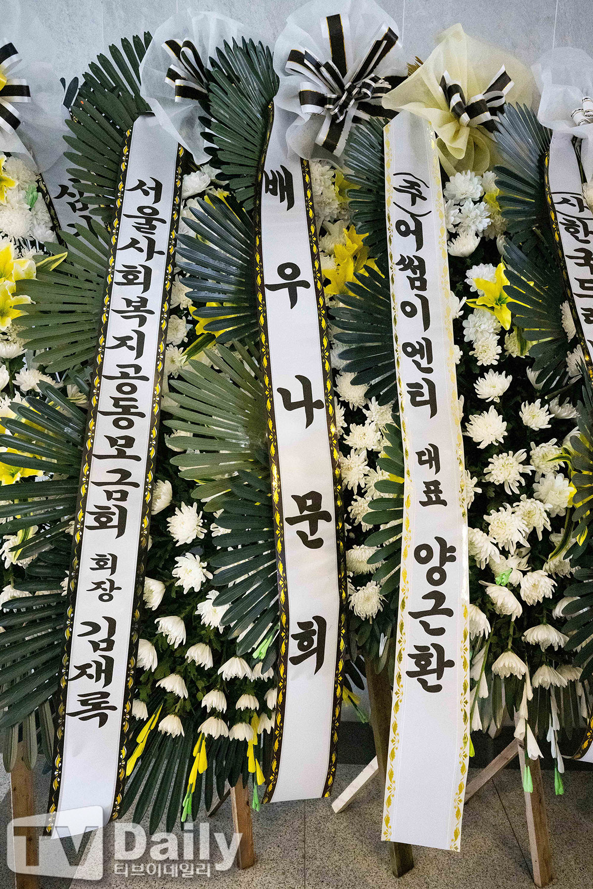 ƼºêÀ̵¥Àϸ® Æ÷Åä