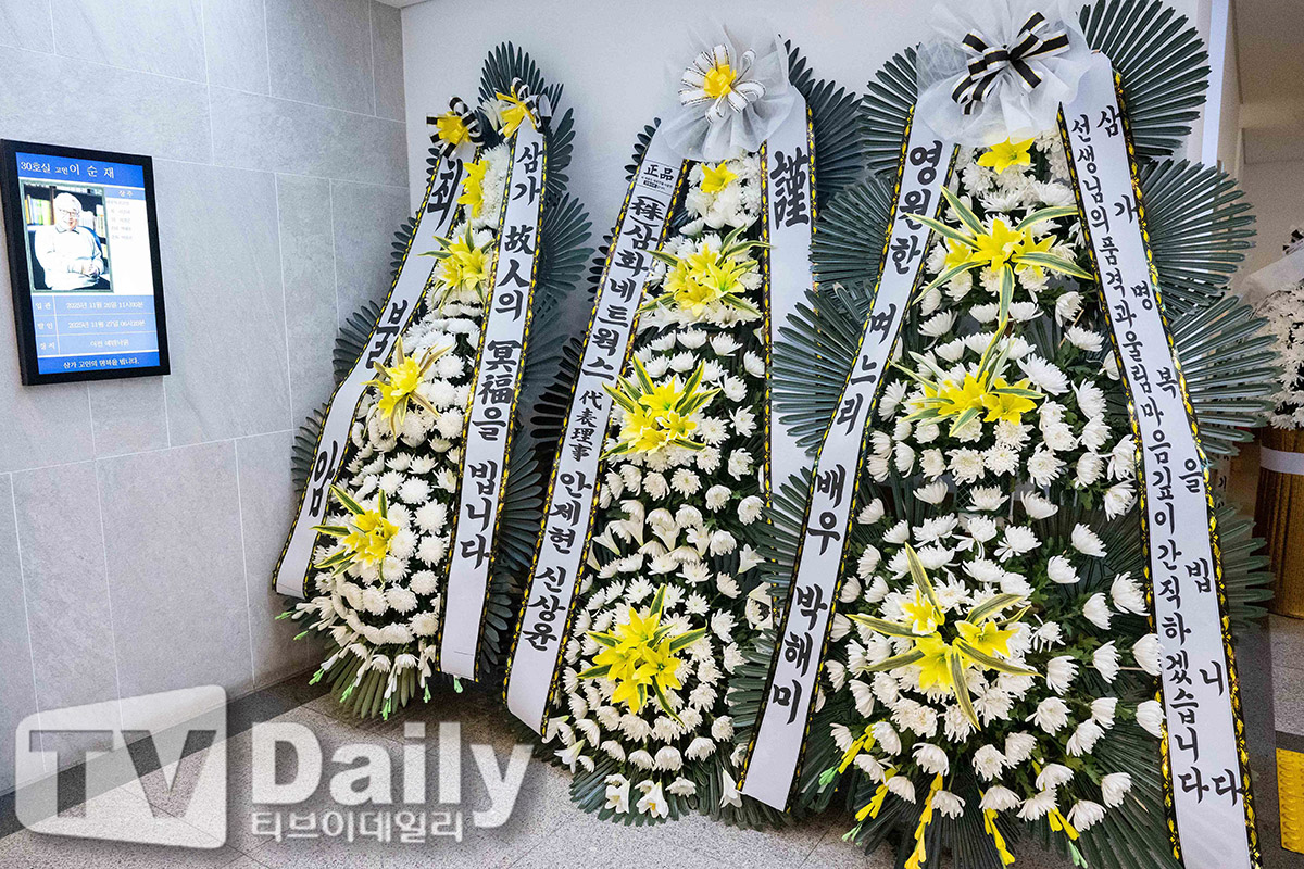 ƼºêÀ̵¥Àϸ® Æ÷Åä