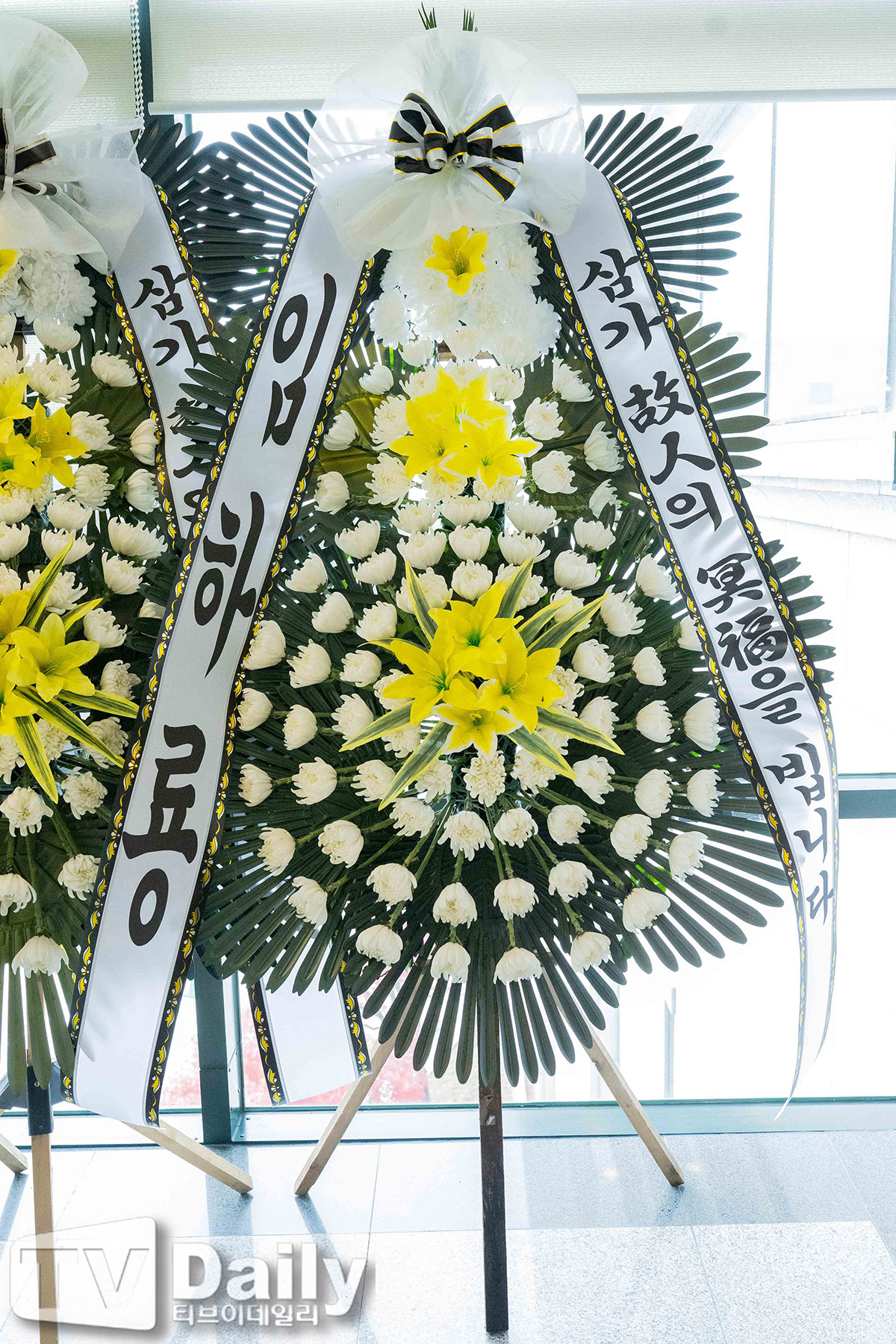 ƼºêÀ̵¥Àϸ® Æ÷Åä