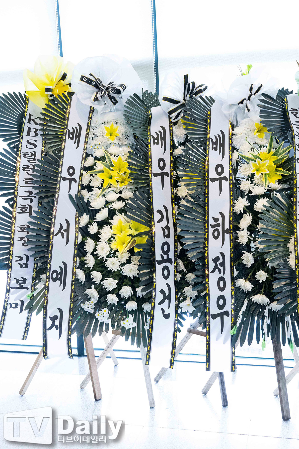 ƼºêÀ̵¥Àϸ® Æ÷Åä