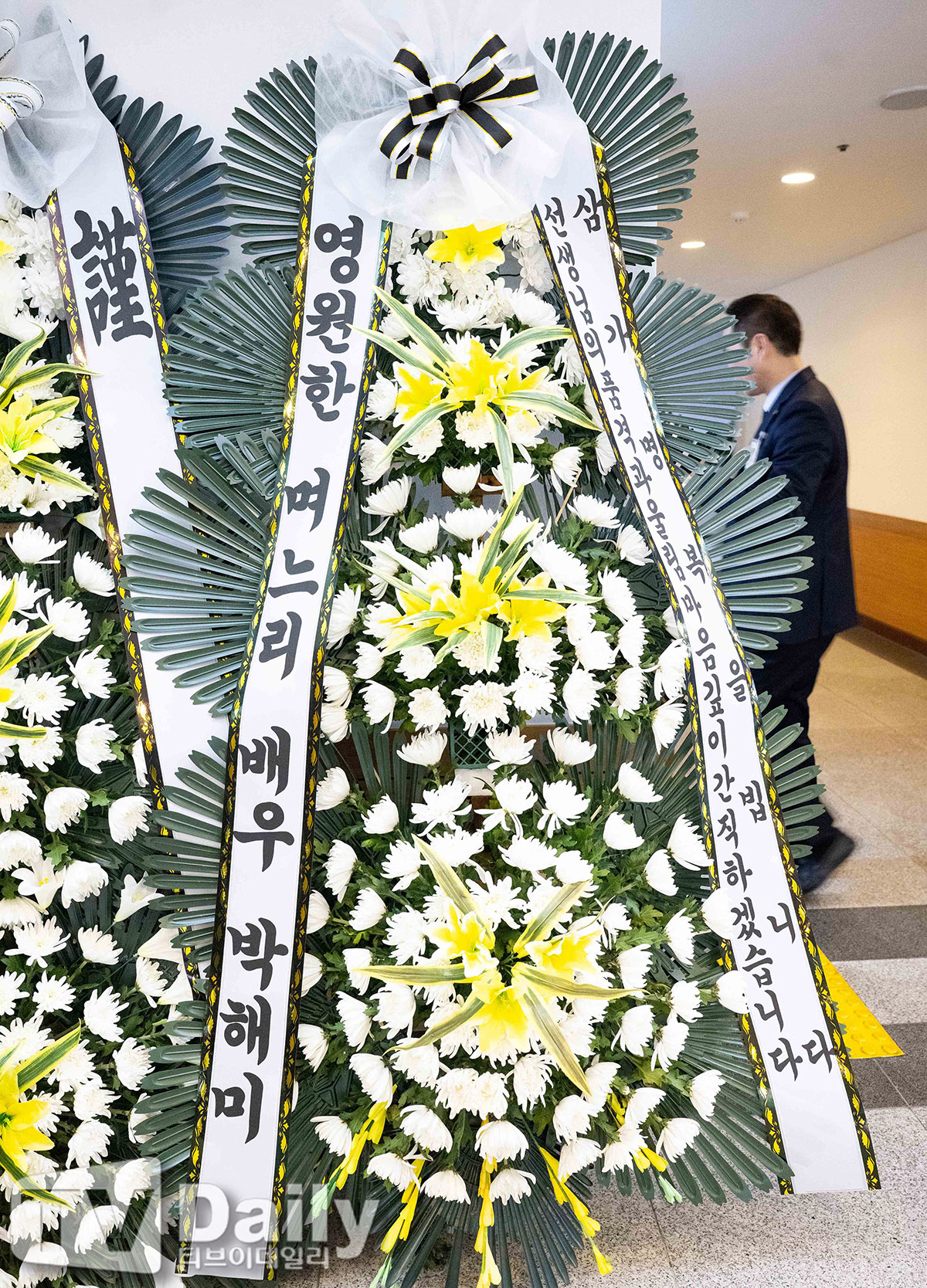 ƼºêÀ̵¥Àϸ® Æ÷Åä