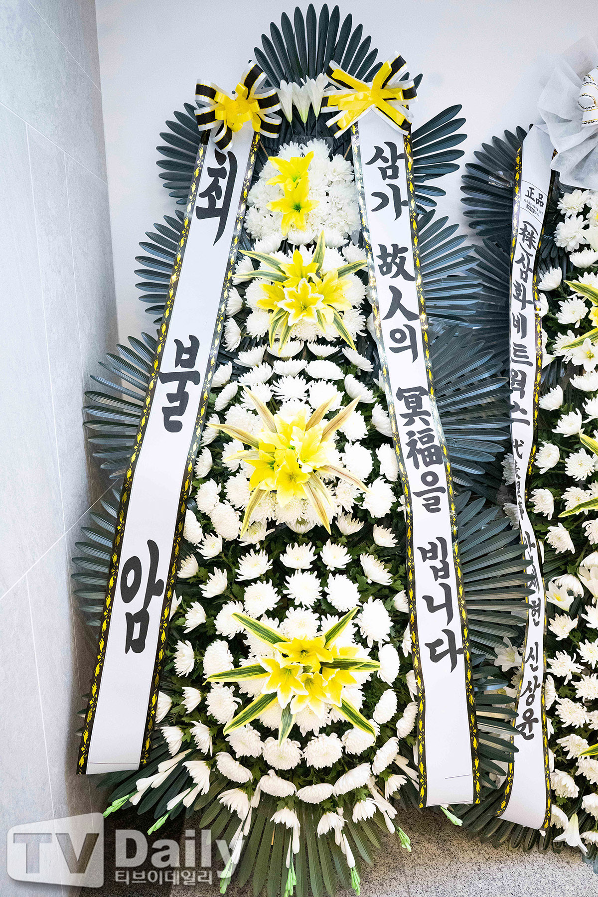 ƼºêÀ̵¥Àϸ® Æ÷Åä