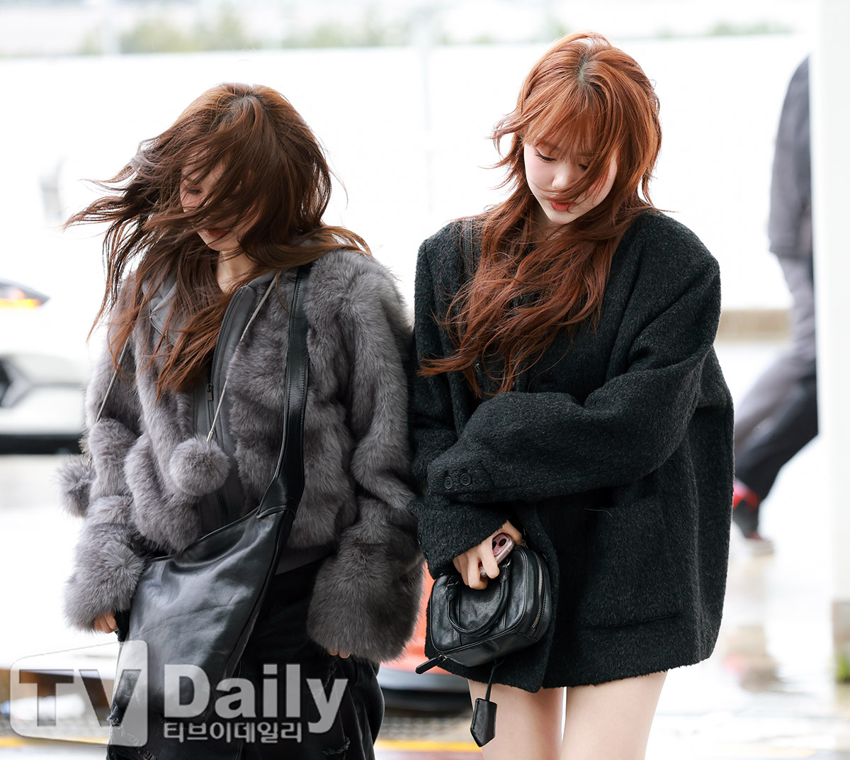 ƼºêÀ̵¥Àϸ® Æ÷Åä